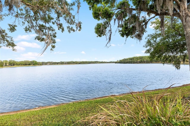 14648 Bournemouth Rd, Tampa, FL 33626 - photo 39