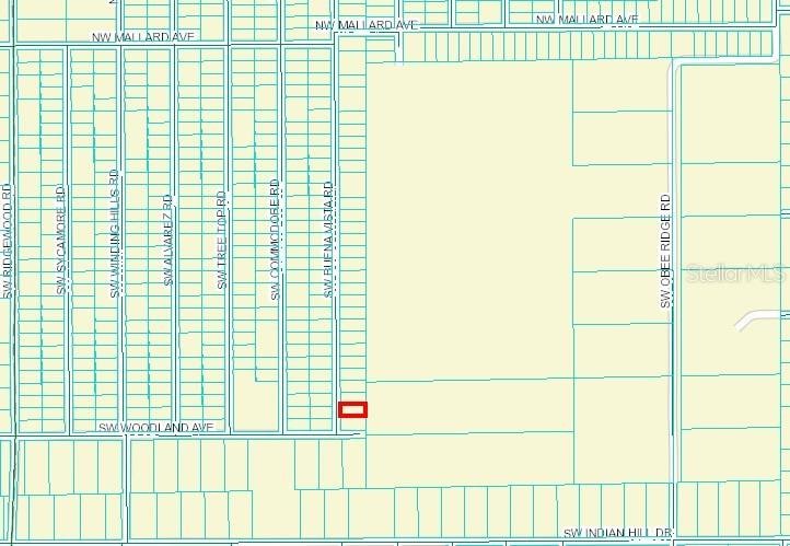 463159 SW Buena Vista Rd, Dunnellon, FL 34431