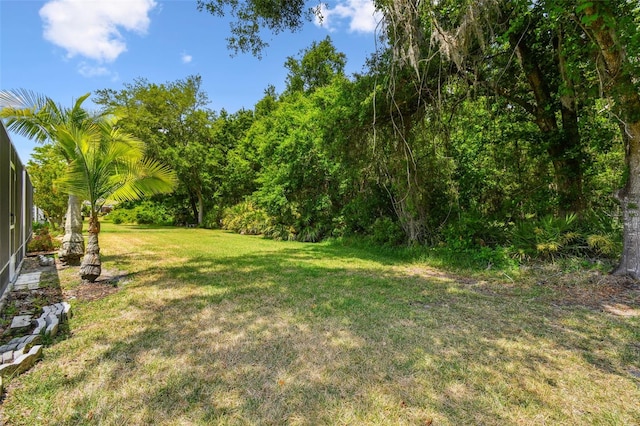 view of green lawn