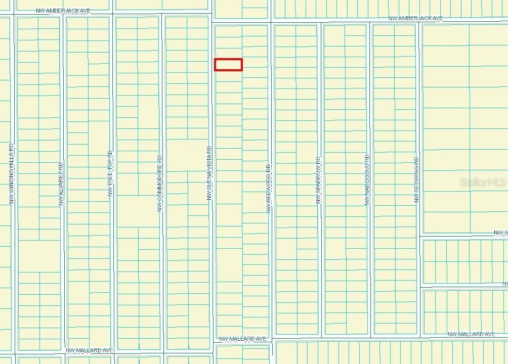 463833 NW Buena Vista Rd, Dunnellon, FL 34431