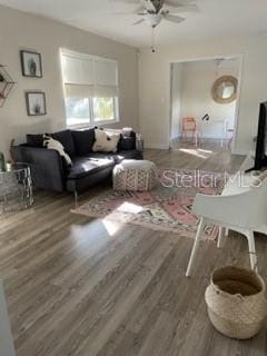 5111 28th Ave N, Saint Petersburg, FL 33710 - living room featuring wood finished floors and ceiling fan