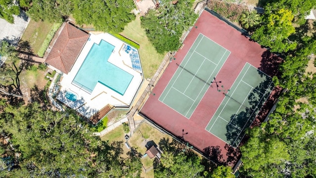 2626 2nd Ct, Palm Harbor, FL 34684 - bird's eye view of a pool