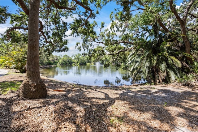 2626 2nd Ct, Palm Harbor, FL 34684 - water view