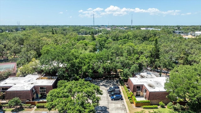 2626 2nd Ct, Palm Harbor, FL 34684 - view of subject property