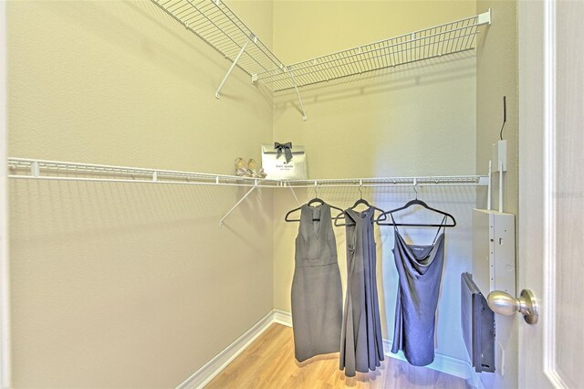 walk in closet with wood finished floors