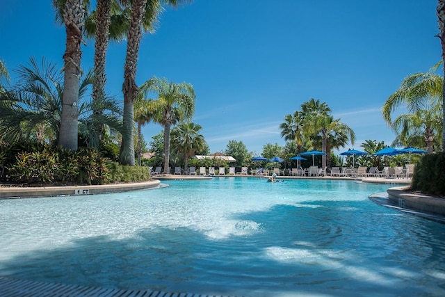 view of community pool