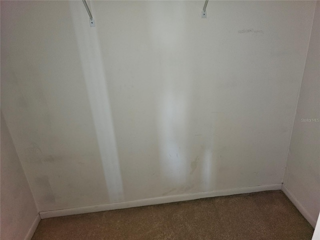 walk in closet with light carpet