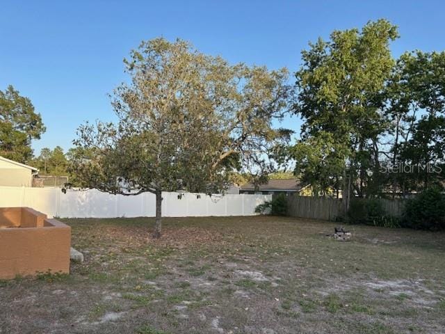 12230 Skyler Ln, Spring Hill, FL 34609 - view of fenced backyard