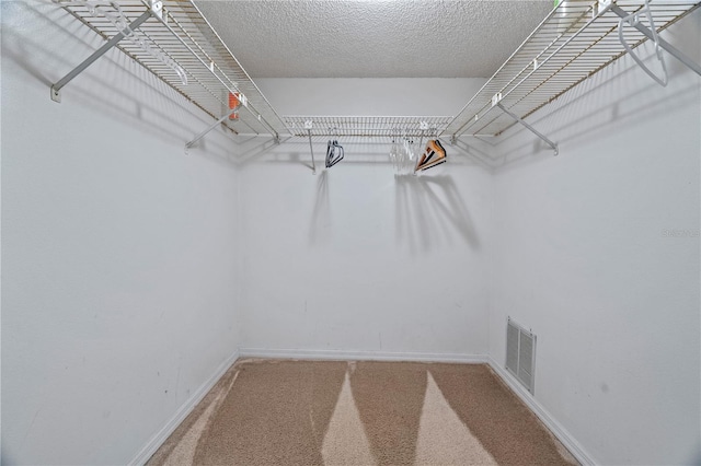 18400 Gulf Blvd Unit 1105, Indian Shores, FL 33785 - walk in closet with carpet floors