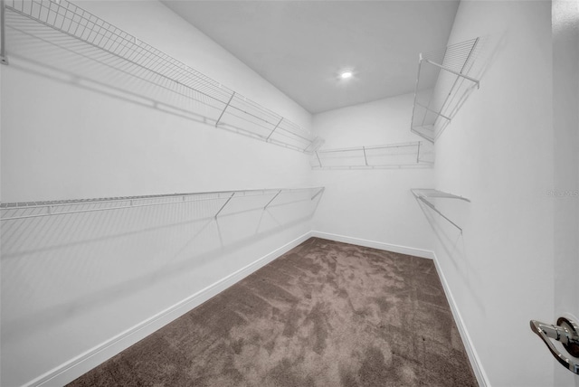 spacious closet with carpet