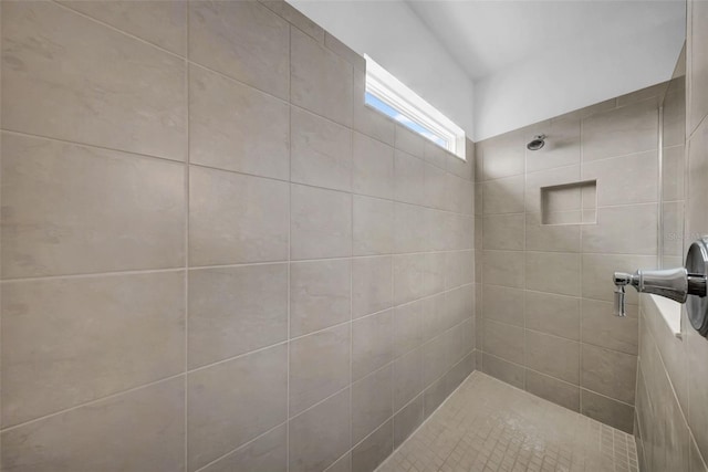 13855 Sharp Hawk Dr, Riverview, FL 33569 - bathroom with tiled shower