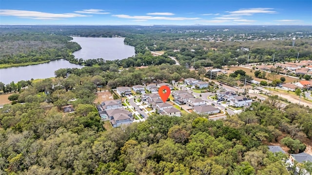 13855 Sharp Hawk Dr, Riverview, FL 33569 - aerial view of property and surrounding area with a forest, a large body of water, and nearby suburban area
