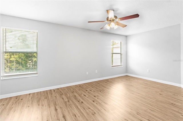 13174 Royal Pines Ave, Riverview, FL 33579 - photo 10