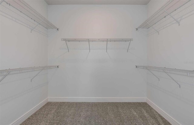 8187 SW 52nd Lane Rd, Ocala, FL 34481 - spacious closet with carpet flooring