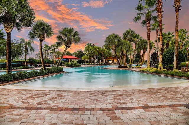 8187 SW 52nd Lane Rd, Ocala, FL 34481 - community pool with a patio