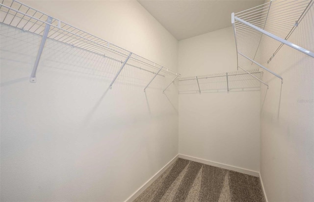8303 SW 54th Loop, Ocala, FL 34481 - walk in closet with dark carpet
