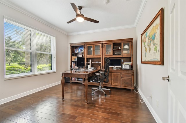 11624 Calf Path Dr, Tampa, FL 33626 - office area with healthy amount of natural light, ceiling fan, crown molding, baseboards, and dark wood-type flooring