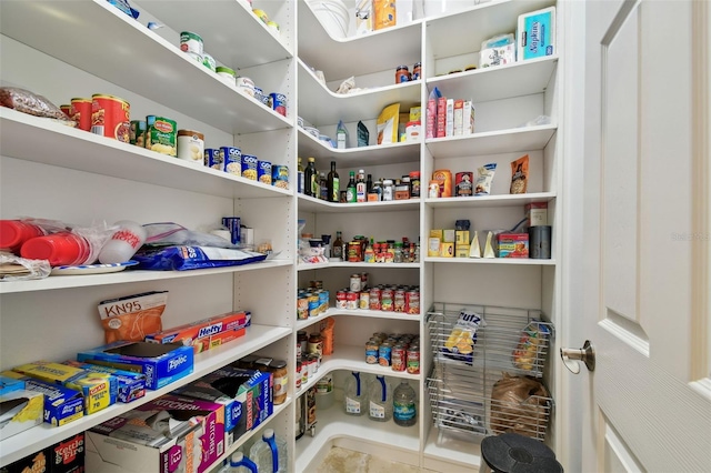 11624 Calf Path Dr, Tampa, FL 33626 - view of storage area