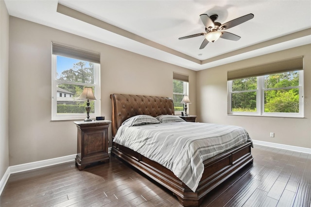 11624 Calf Path Dr, Tampa, FL 33626 - bedroom with baseboards, a tray ceiling, and multiple windows