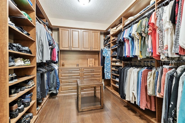11624 Calf Path Dr, Tampa, FL 33626 - walk in closet featuring wood finished floors