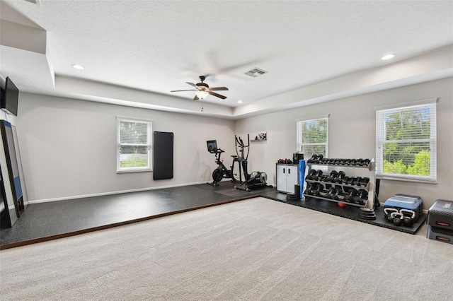 11624 Calf Path Dr, Tampa, FL 33626 - workout room with a ceiling fan, recessed lighting, a tray ceiling, and baseboards