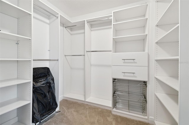 11624 Calf Path Dr, Tampa, FL 33626 - walk in closet featuring carpet flooring
