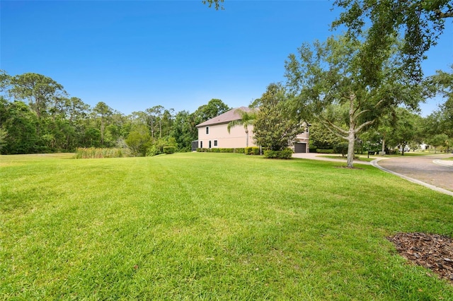 11624 Calf Path Dr, Tampa, FL 33626 - view of green lawn