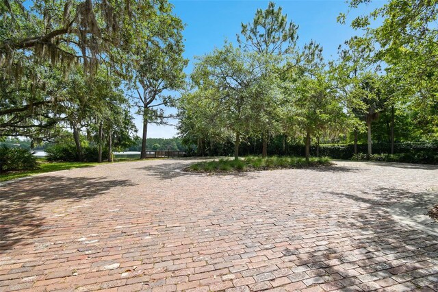 11624 Calf Path Dr, Tampa, FL 33626 - view of property's community