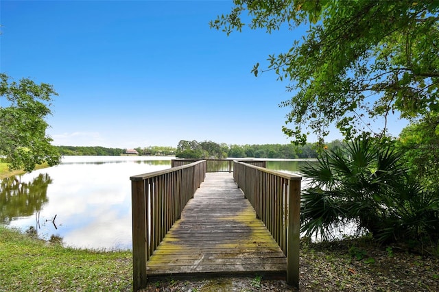 11624 Calf Path Dr, Tampa, FL 33626 - dock with a water view