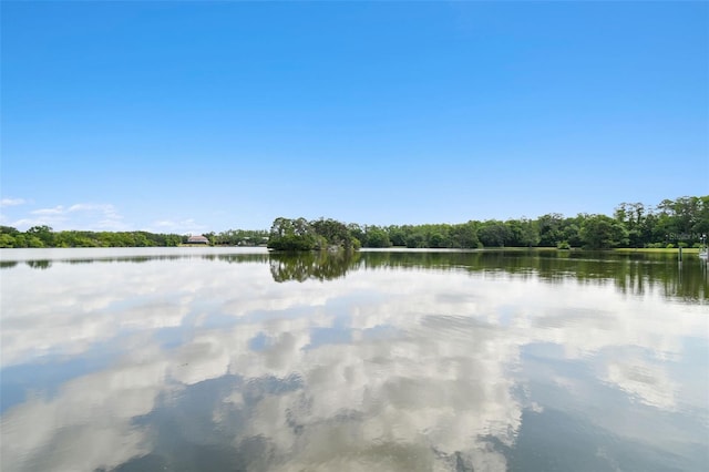 11624 Calf Path Dr, Tampa, FL 33626 - water view