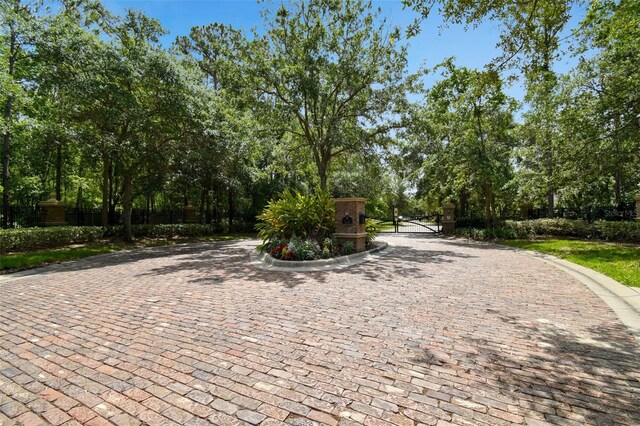 11624 Calf Path Dr, Tampa, FL 33626 - view of decorative road featuring curbs, a gate, view of wooded area, and a gated entry
