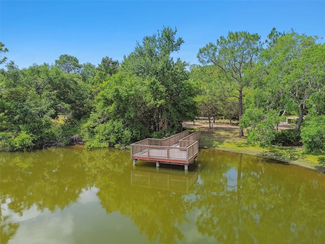 11624 Calf Path Dr, Tampa, FL 33626 - dock with a water view