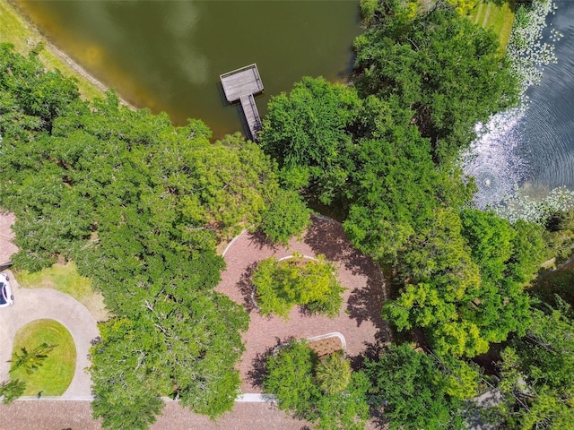 11624 Calf Path Dr, Tampa, FL 33626 - bird's eye view of a large body of water