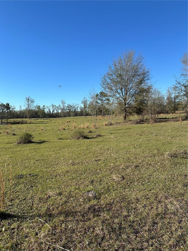 7202 SW County Road 143, Jasper, FL 32052
