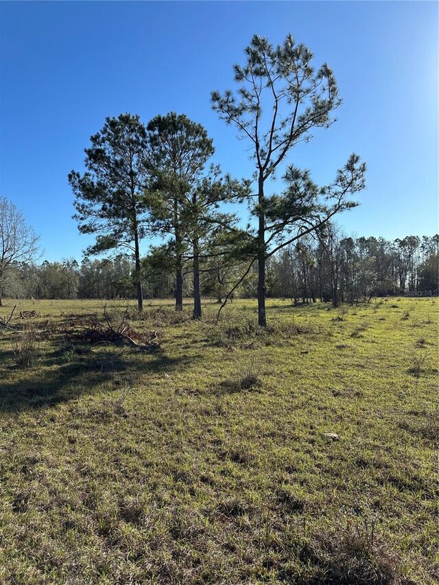 7202 SW County Road 143, Jasper, FL 32052