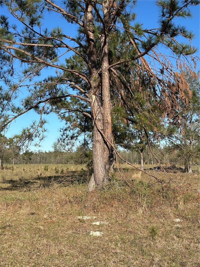 7202 SW County Road 143, Jasper, FL 32052