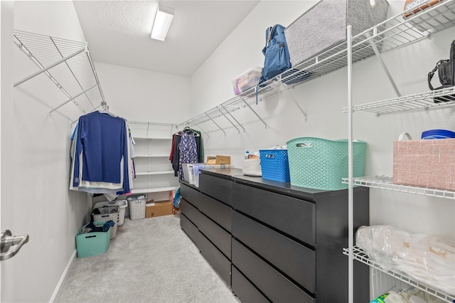 3212 Calvano Dr, Land O Lakes, FL 34639 - walk in closet featuring carpet