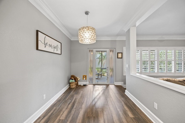 9722 Tiffany Oaks Ln, Tampa, FL 33612 - entryway with dark wood-style floors, baseboards, and ornamental molding