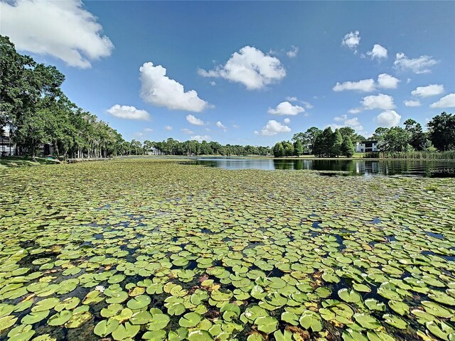 9722 Tiffany Oaks Ln, Tampa, FL 33612 - view of community featuring a water view