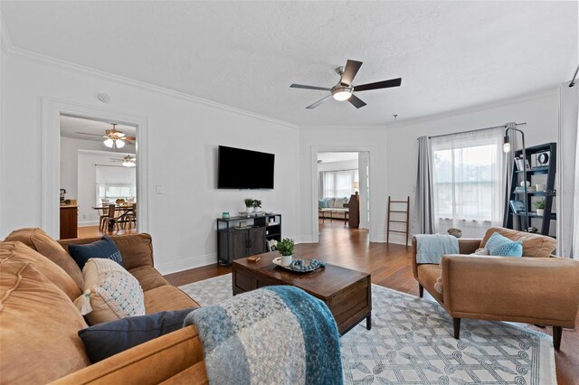 2306 Trelain Dr S, Saint Petersburg, FL 33712 - photo 12
