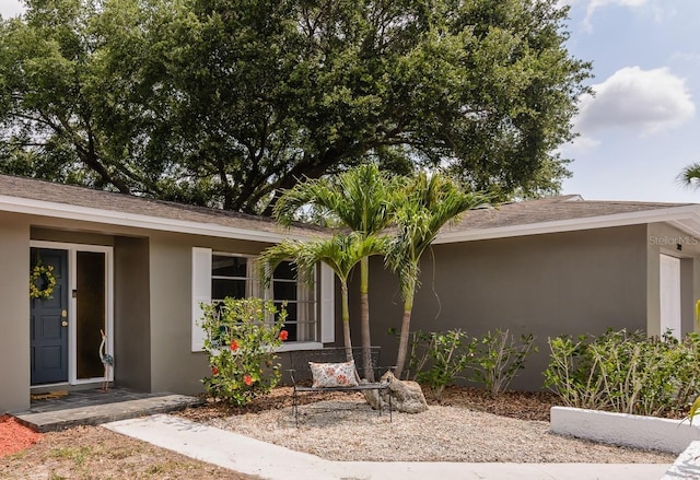 2012 Scotland Dr, Clearwater, FL 33763 - doorway to property with stucco siding