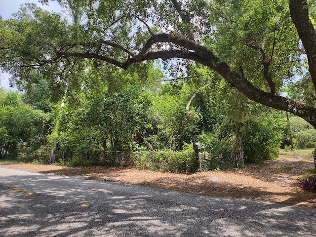 1819 Sinclair Hills Rd, Lutz, FL 33549