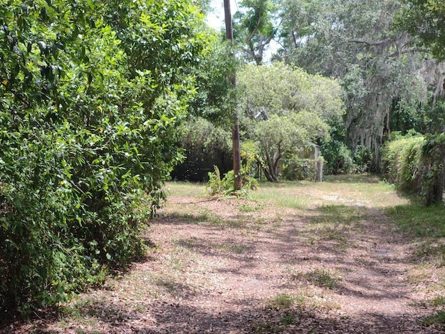 1819 Sinclair Hills Rd, Lutz, FL 33549