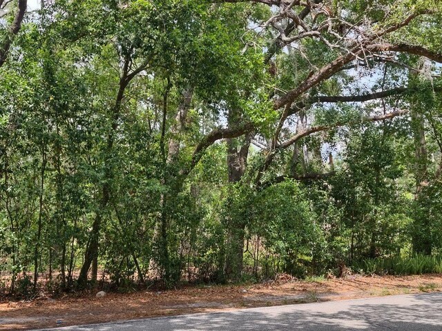 1819 Sinclair Hills Rd, Lutz, FL 33549