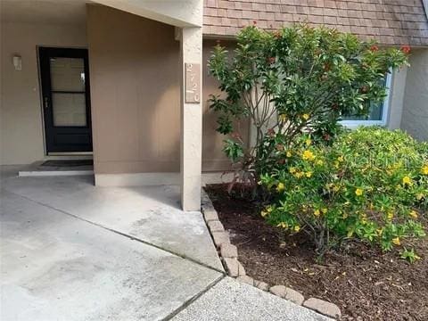 2720 Sand Hollow Ct Unit 156A, Clearwater, FL 33761 - entrance to property with stucco siding and roof with shingles