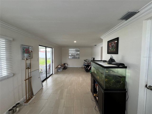 7102 Reindeer Rd, Tampa, FL 33619 - photo 25