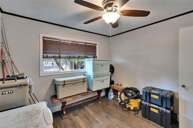 miscellaneous room featuring wood finished floors, a ceiling fan, and ornamental molding