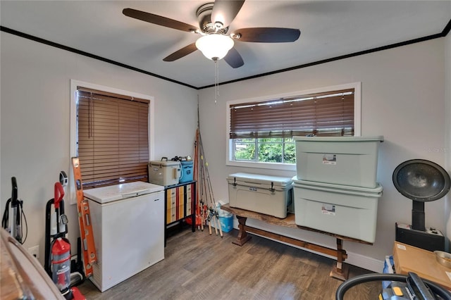 clothes washing area with wood finished floors, a ceiling fan, and crown molding