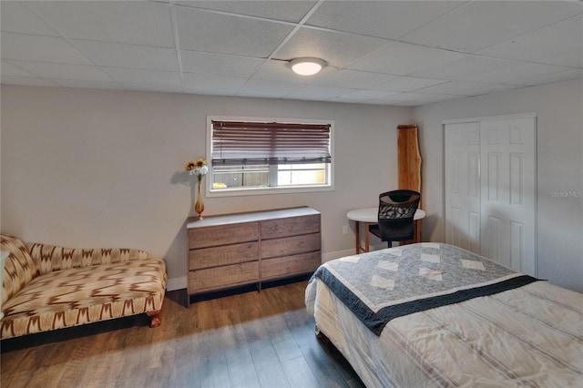 bedroom featuring a paneled ceiling, wood finished floors, a closet, and baseboards
