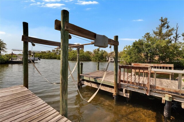 6530 Manila Palm Way, Apollo Beach, FL 33572 - dock with a water view